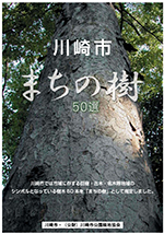 川崎市HP 川崎市まちの樹50選